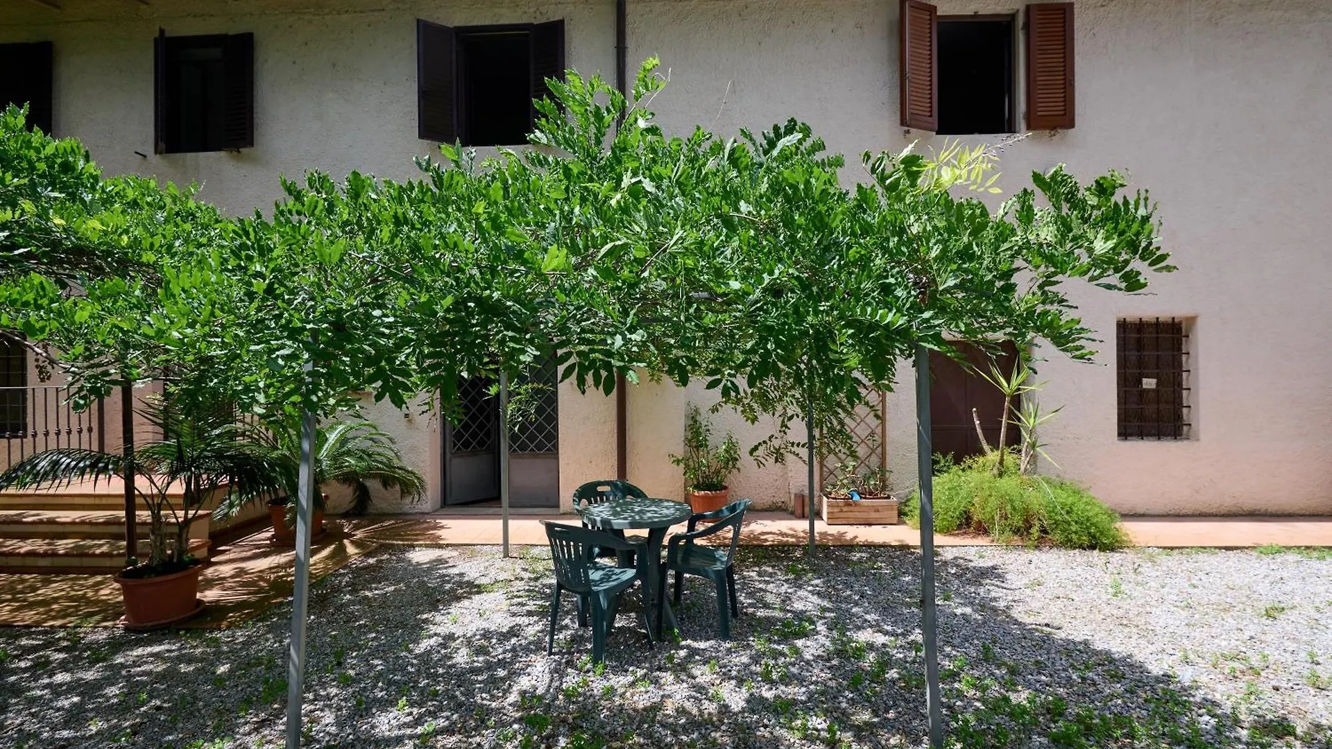 Antichi Palmenti - Alloro San Vincenzo