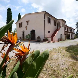 Antichi Palmenti - Erica San Vincenzo