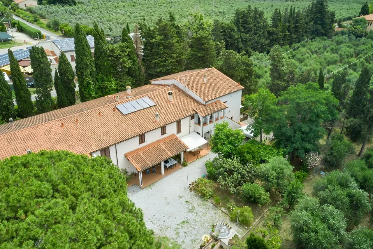 Antichi Palmenti - Alloro San Vincenzo Italy