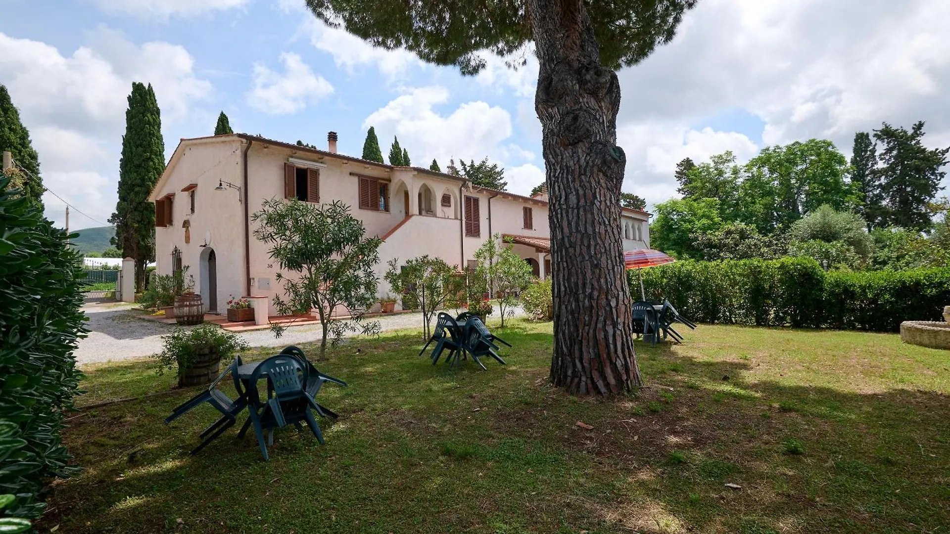 Antichi Palmenti - Alloro San Vincenzo