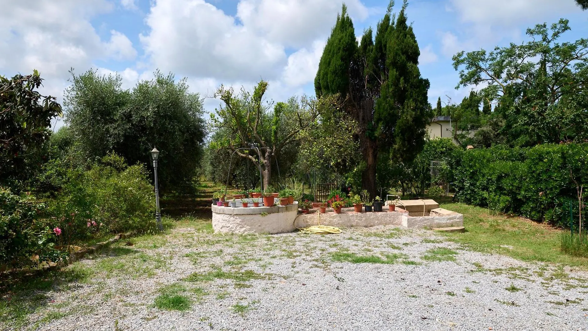 Antichi Palmenti - Alloro San Vincenzo 0*,  Italy