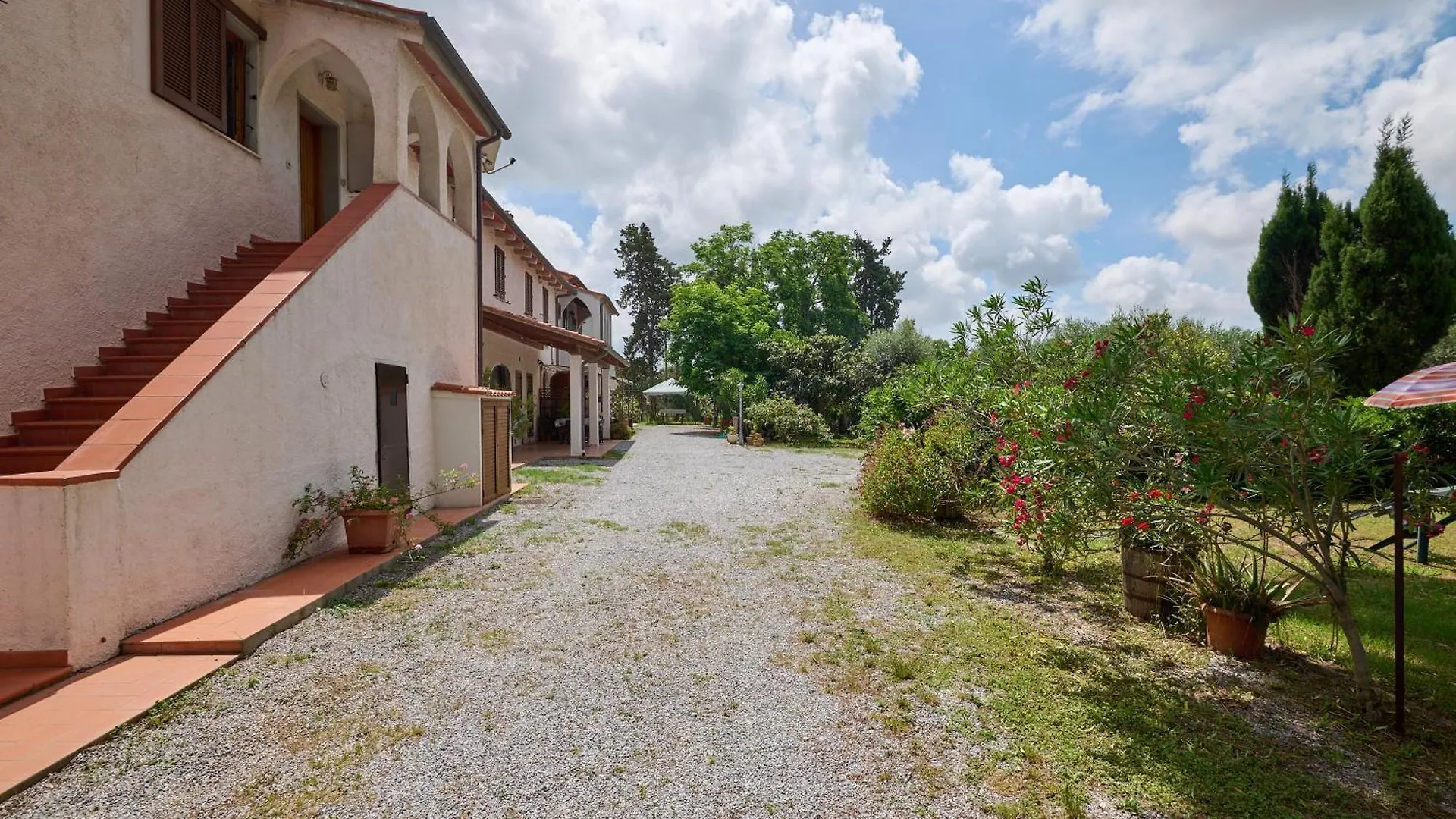Antichi Palmenti - Alloro San Vincenzo 0*,