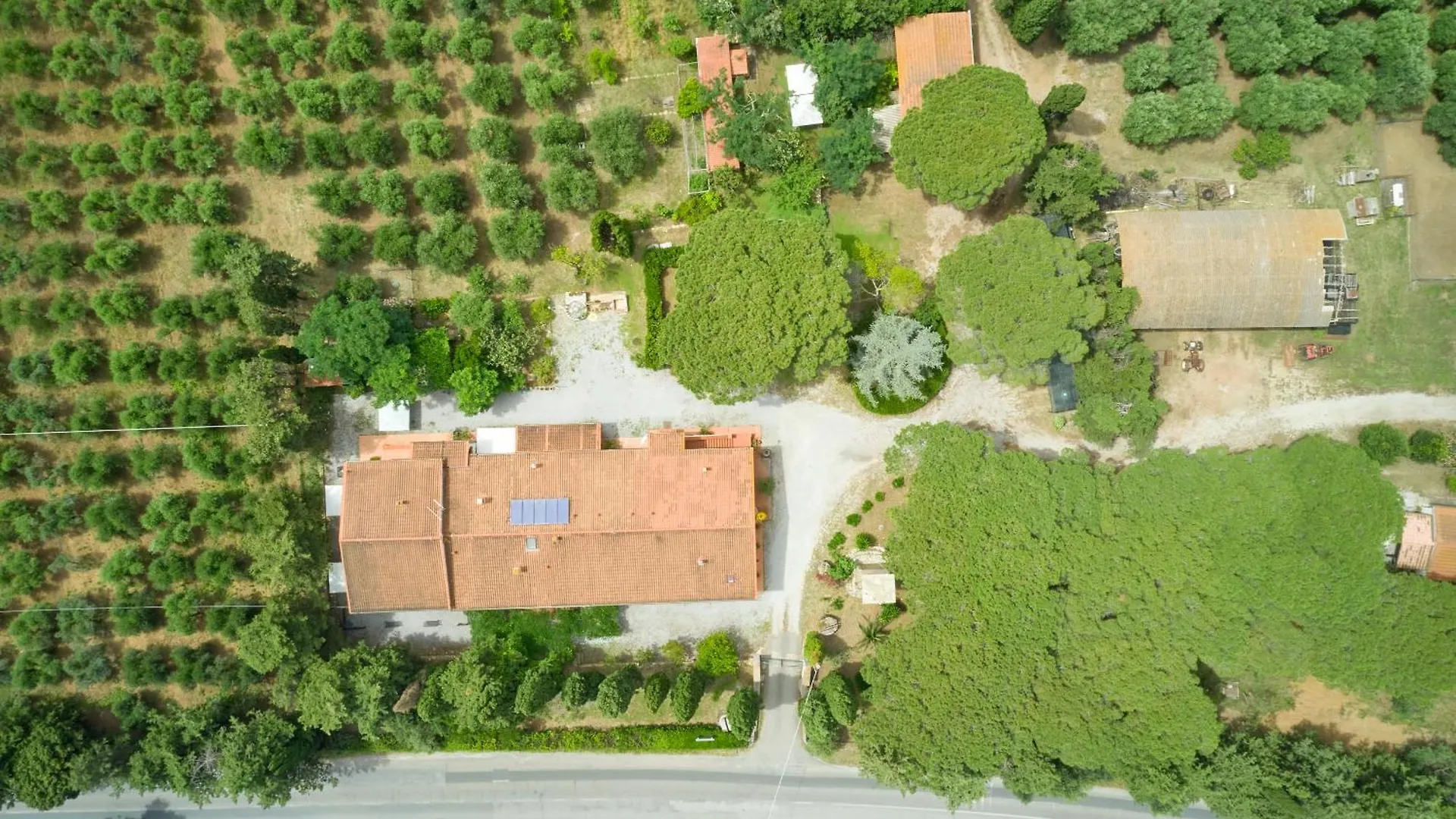 Farm stay Antichi Palmenti - Alloro San Vincenzo Italy