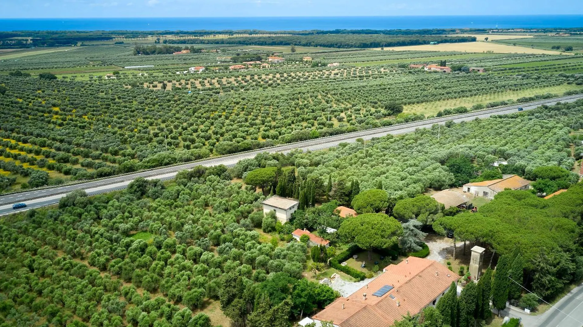 Antichi Palmenti - Alloro San Vincenzo